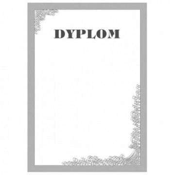 Dyplom OPUS SILVER 190g 25 sztuk